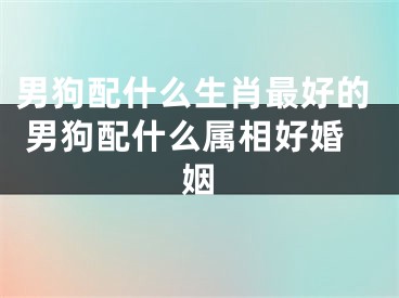 男狗配什么生肖最好的 男狗配什么属相好婚姻