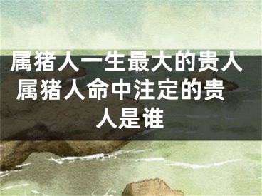 属猪人一生最大的贵人 属猪人命中注定的贵人是谁