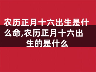 农历正月十六出生是什么命,农历正月十六出生的是什么