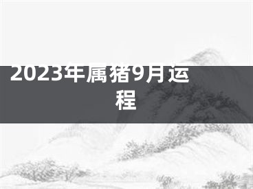 2023年属猪9月运程