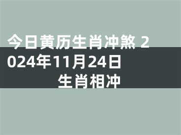 今日黄历生肖冲煞 2024年11月24日生肖相冲
