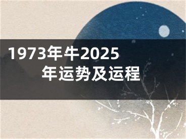 1973年牛2025年运势及运程