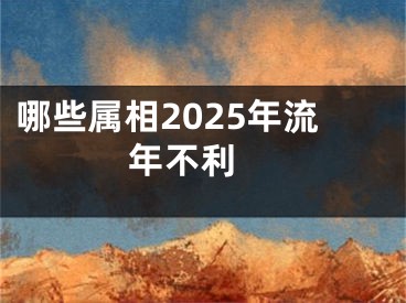 哪些属相2025年流年不利 