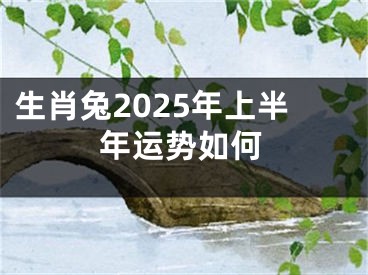 生肖兔2025年上半年运势如何