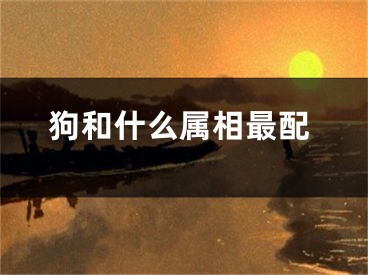 狗和什么属相最配