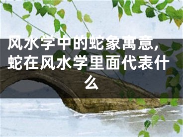 风水学中的蛇象寓意,蛇在风水学里面代表什么