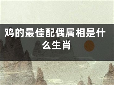 鸡的最佳配偶属相是什么生肖