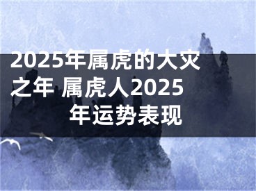 2025年属虎的大灾之年 属虎人2025年运势表现