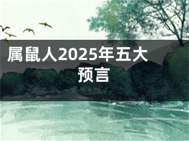 属鼠人2025年五大预言