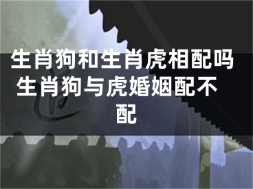 生肖狗和生肖虎相配吗 生肖狗与虎婚姻配不配