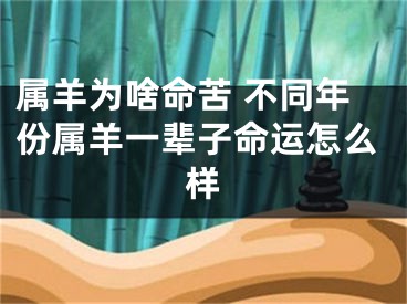 属羊为啥命苦 不同年份属羊一辈子命运怎么样