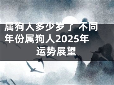 属狗人多少岁了 不同年份属狗人2025年运势展望