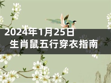 2024年1月25日生肖鼠五行穿衣指南