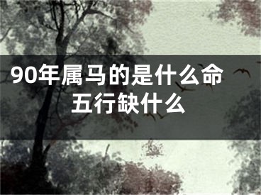90年属马的是什么命五行缺什么