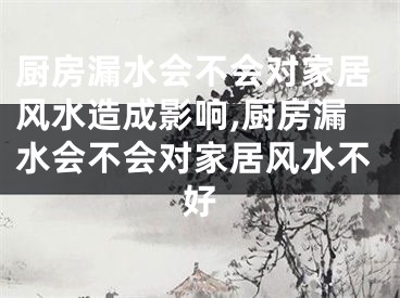 厨房漏水会不会对家居风水造成影响,厨房漏水会不会对家居风水不好