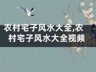 农村宅子风水大全,农村宅子风水大全视频