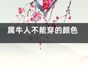 属牛人不能穿的颜色
