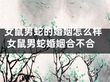 女鼠男蛇的婚姻怎么样 女鼠男蛇婚姻合不合