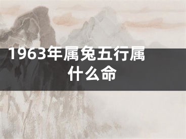 1963年属兔五行属什么命