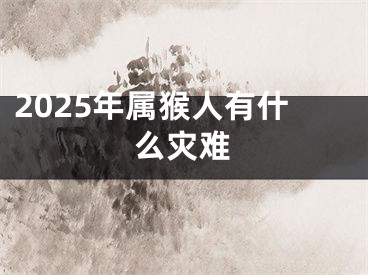 2025年属猴人有什么灾难