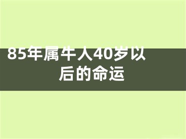 85年属牛人40岁以后的命运