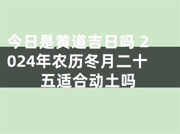 今日是黄道吉日吗 2024年农历冬月二十五适合动土吗
