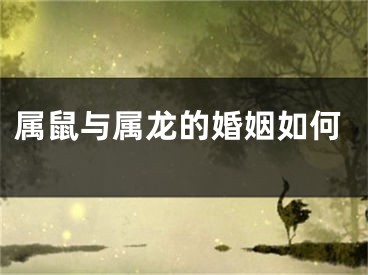 属鼠与属龙的婚姻如何
