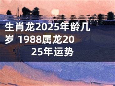 生肖龙2025年龄几岁 1988属龙2025年运势