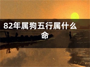 82年属狗五行属什么命