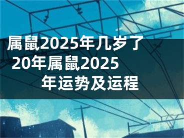 属鼠2025年几岁了 20年属鼠2025年运势及运程