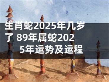 生肖蛇2025年几岁了 89年属蛇2025年运势及运程