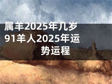 属羊2025年几岁 91羊人2025年运势运程