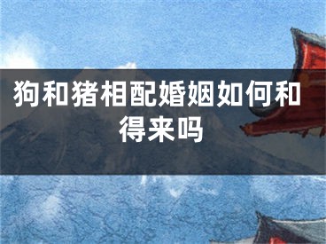 狗和猪相配婚姻如何和得来吗