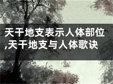 天干地支表示人体部位,天干地支与人体歌诀