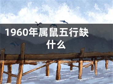 1960年属鼠五行缺什么