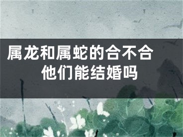 属龙和属蛇的合不合 他们能结婚吗