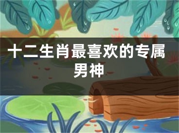 十二生肖最喜欢的专属男神