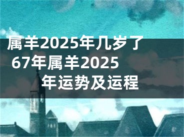 属羊2025年几岁了 67年属羊2025年运势及运程