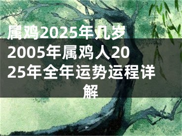 属鸡2025年几岁 2005年属鸡人2025年全年运势运程详解