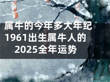 属牛的今年多大年纪 1961出生属牛人的2025全年运势