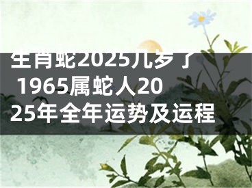 生肖蛇2025几岁了 1965属蛇人2025年全年运势及运程
