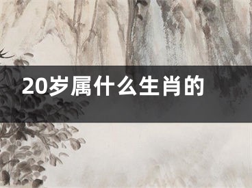 20岁属什么生肖的