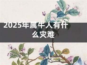2025年属牛人有什么灾难