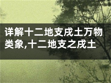 详解十二地支戌土万物类象,十二地支之戌土