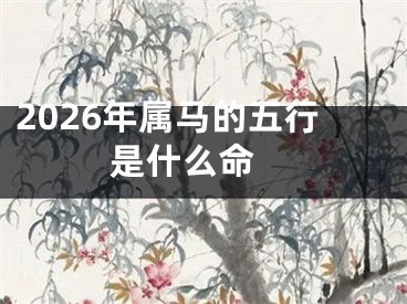 2026年属马的五行是什么命 