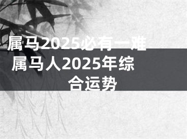属马2025必有一难 属马人2025年综合运势