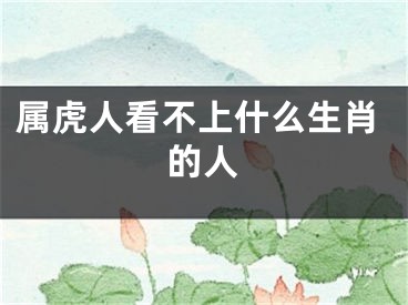 属虎人看不上什么生肖的人