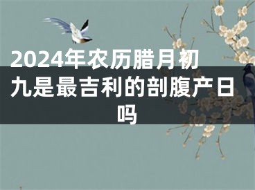 2024年农历腊月初九是最吉利的剖腹产日吗