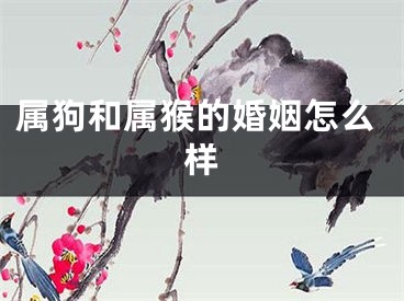 属狗和属猴的婚姻怎么样