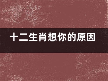 十二生肖想你的原因